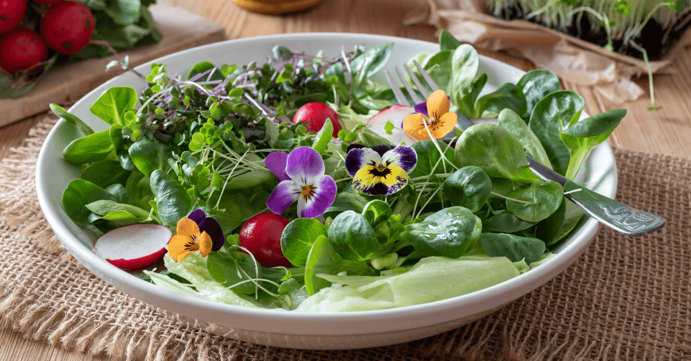 Cooking with Edible Flowers: Tips and Recipes