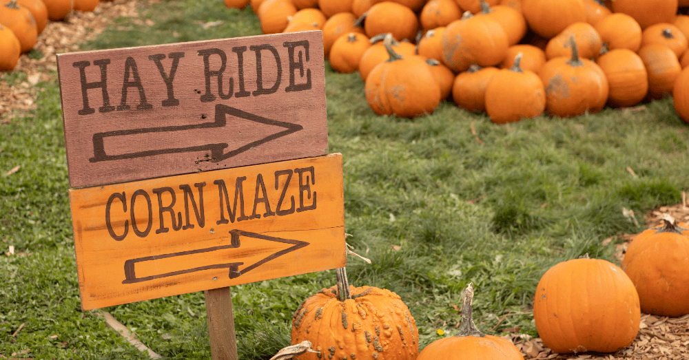 How to Find the Best Fall Festivals and Events Near You